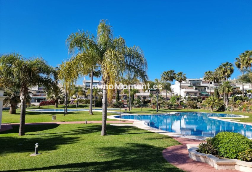 Revente - Appartement - Marbella - Nueva Andalucía