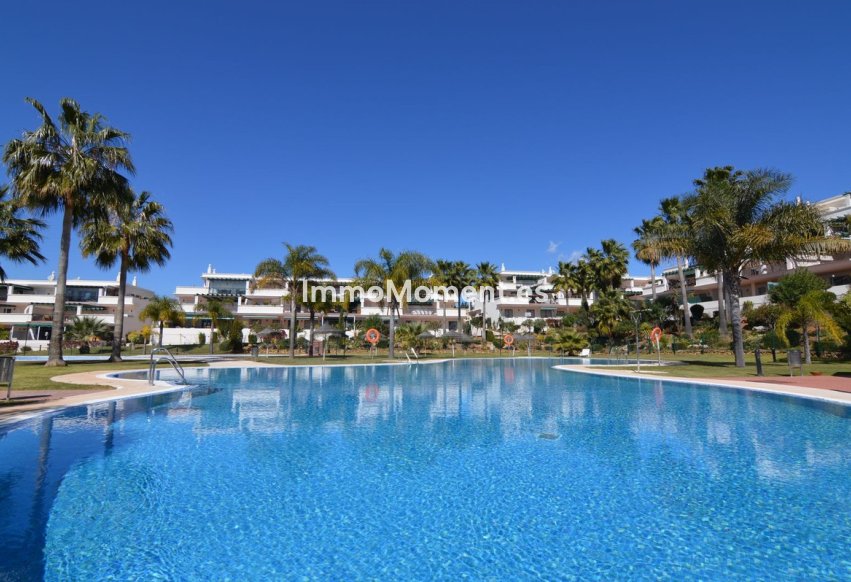 Revente - Appartement - Marbella - Nueva Andalucía
