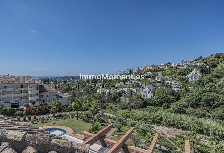 Revente - Appartement - Marbella - Nueva Andalucía
