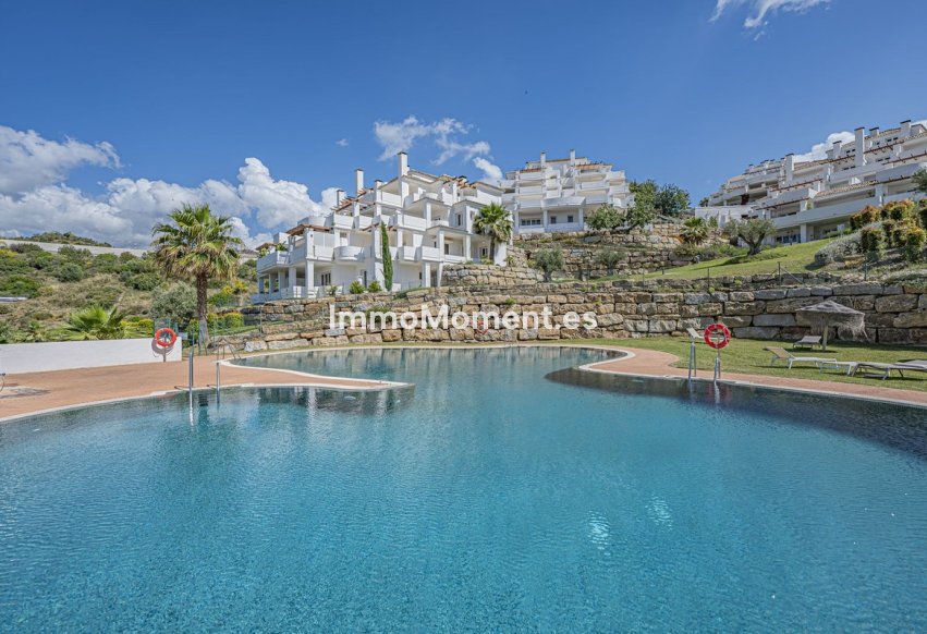 Revente - Appartement - Marbella - Nueva Andalucía