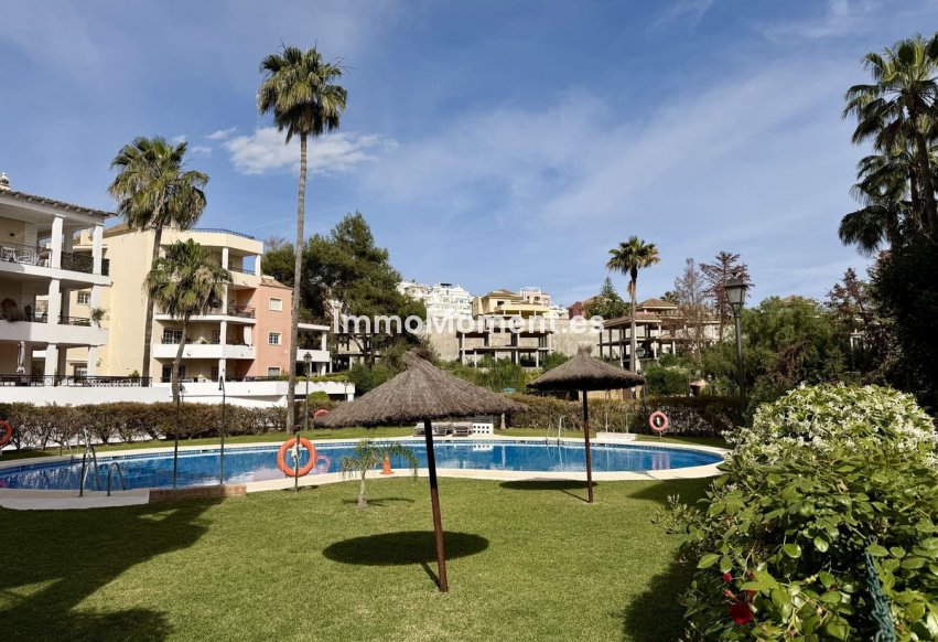 Revente - Appartement - Marbella - Nueva Andalucía