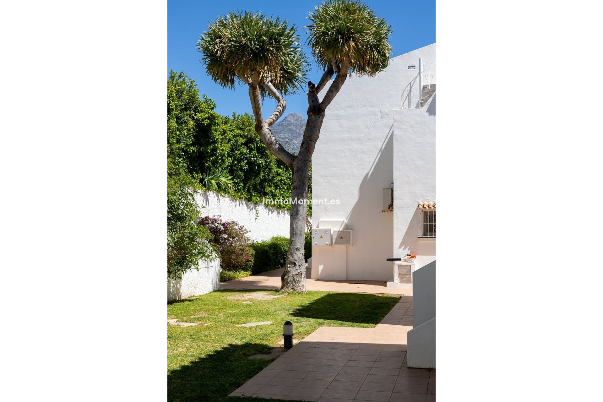 Revente - Appartement - Marbella - Nueva Andalucía