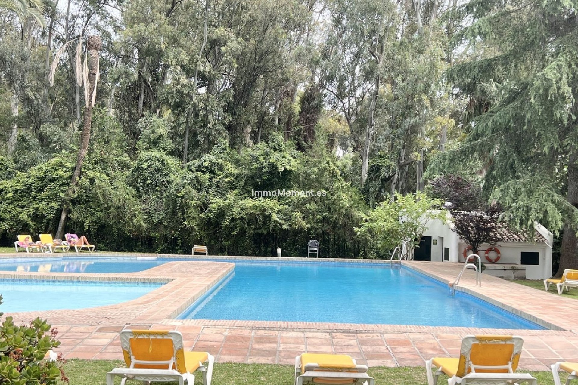 Revente - Appartement - Marbella - Nueva Andalucía