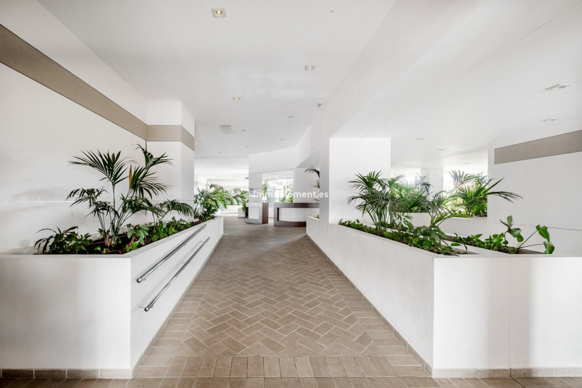 Revente - Appartement - Marbella - Nueva Andalucía