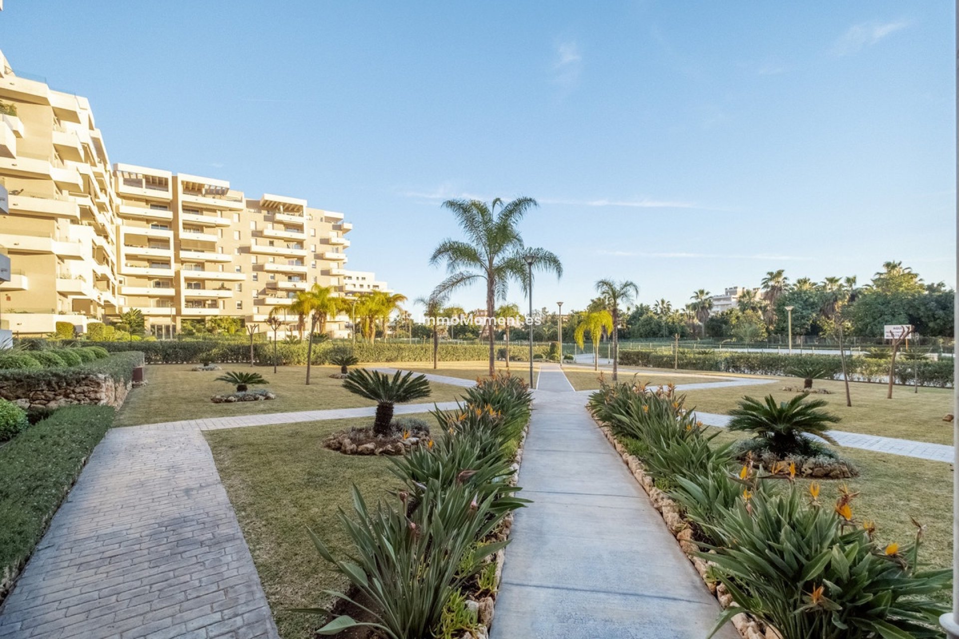 Revente - Appartement - Marbella - Nueva Andalucía