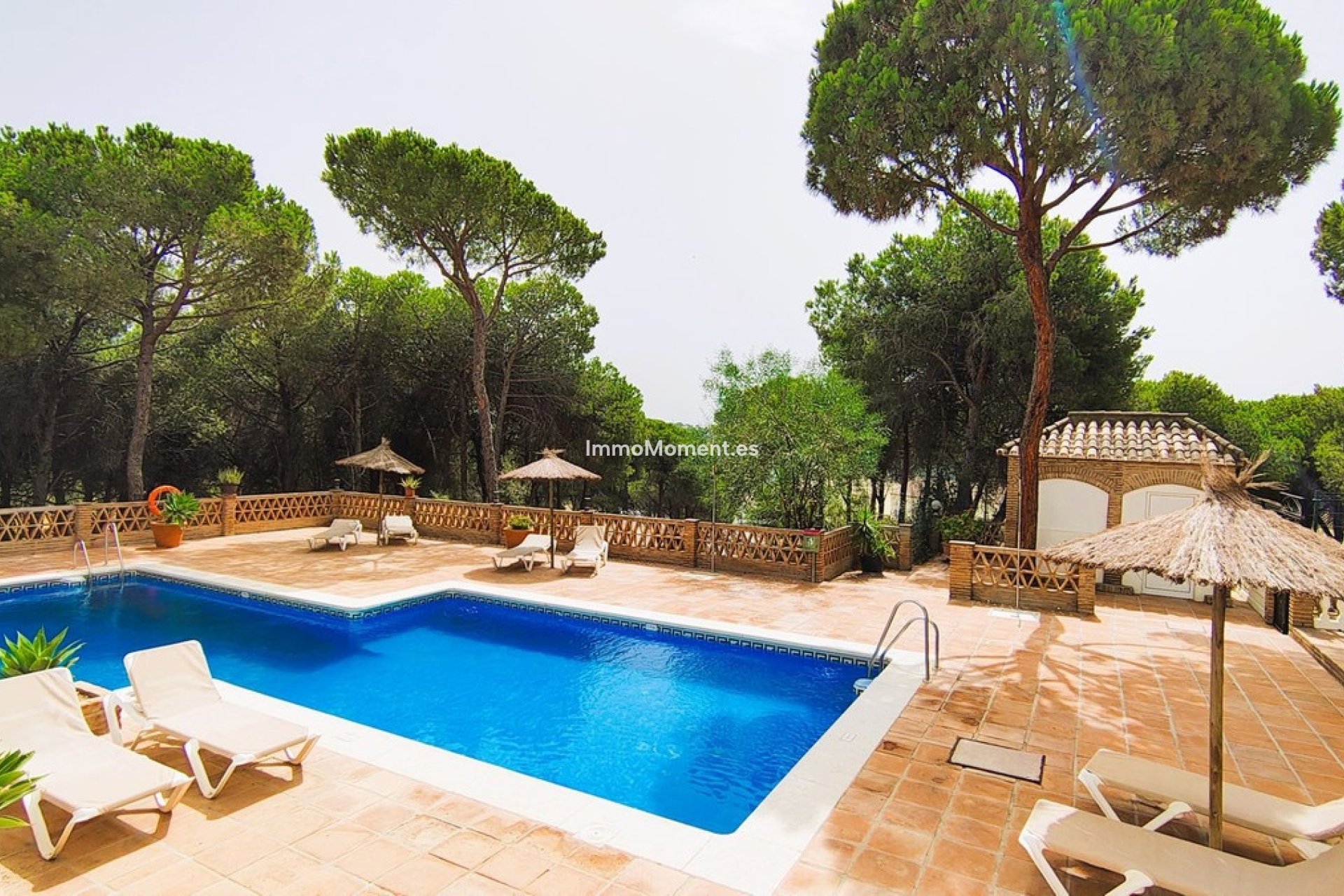Revente - Appartement - Marbella - Nueva Andalucía