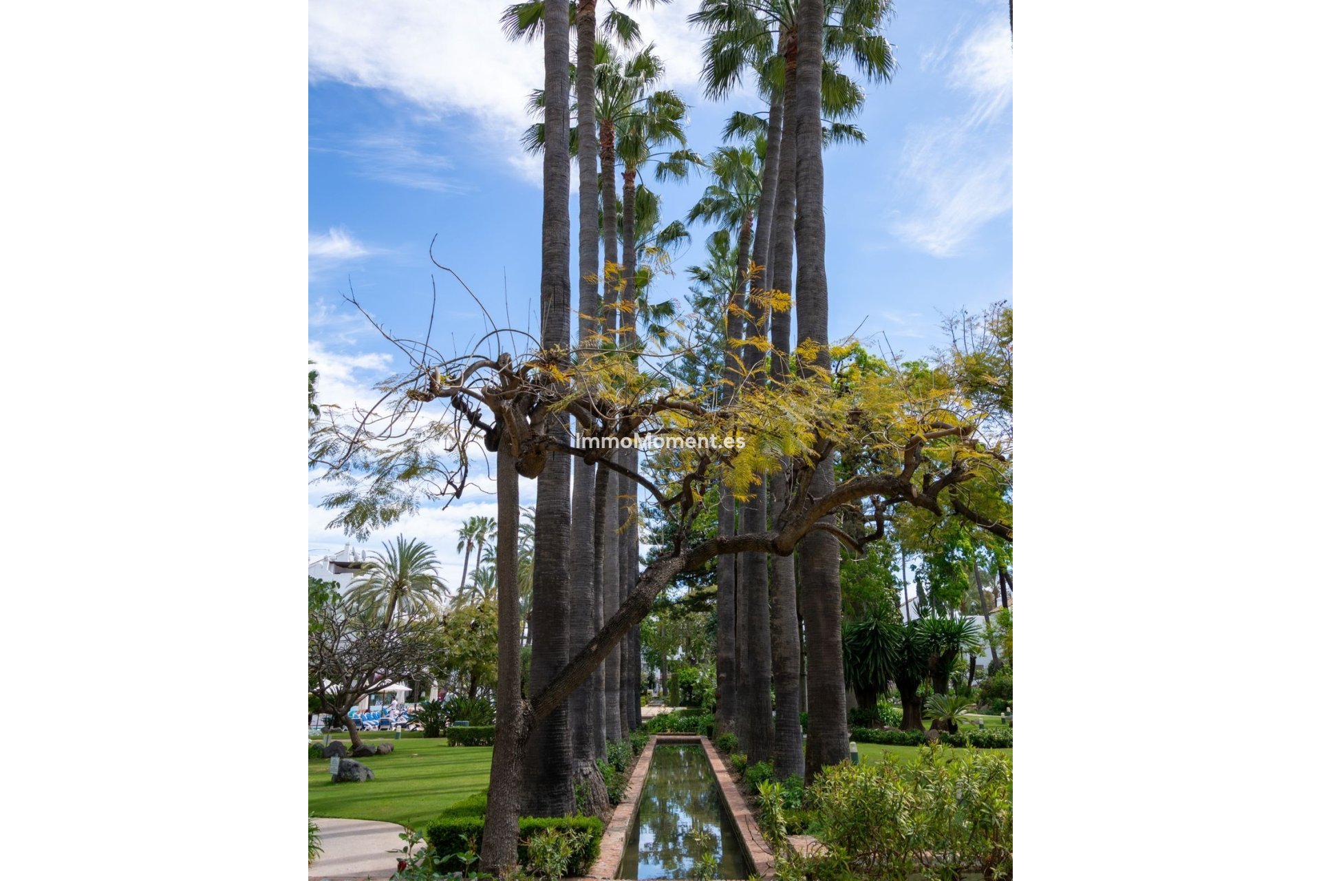 Revente - Appartement - Marbella - Puerto Banús