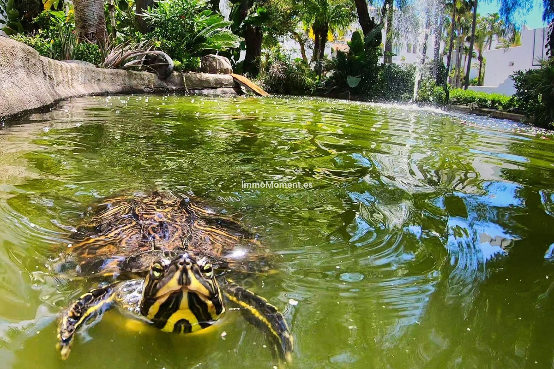 Revente - Appartement - Marbella - Reserva de Marbella