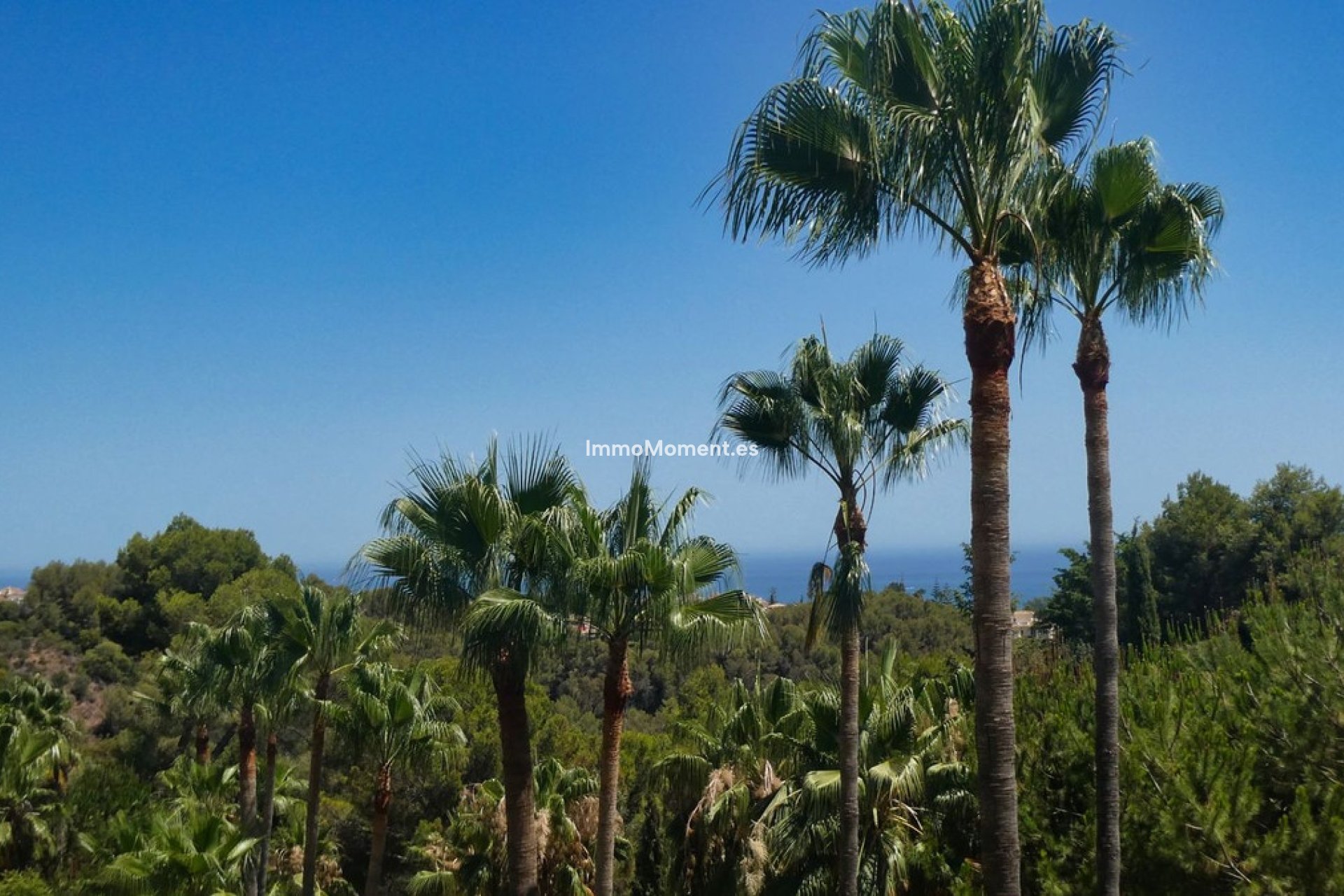 Revente - Appartement - Marbella - Sierra Blanca