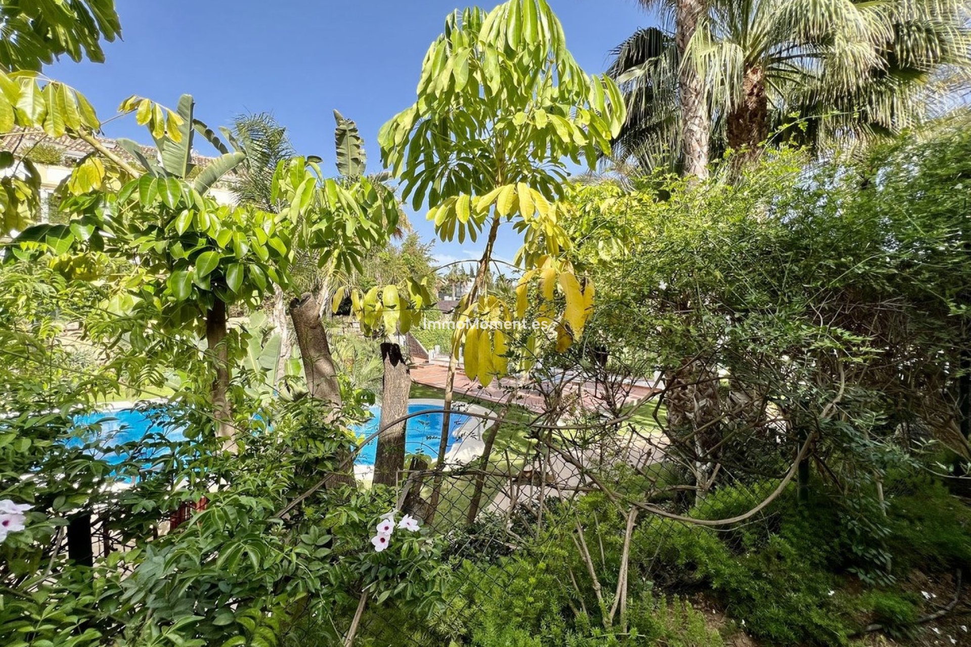 Revente - Appartement - Marbella - The Golden Mile