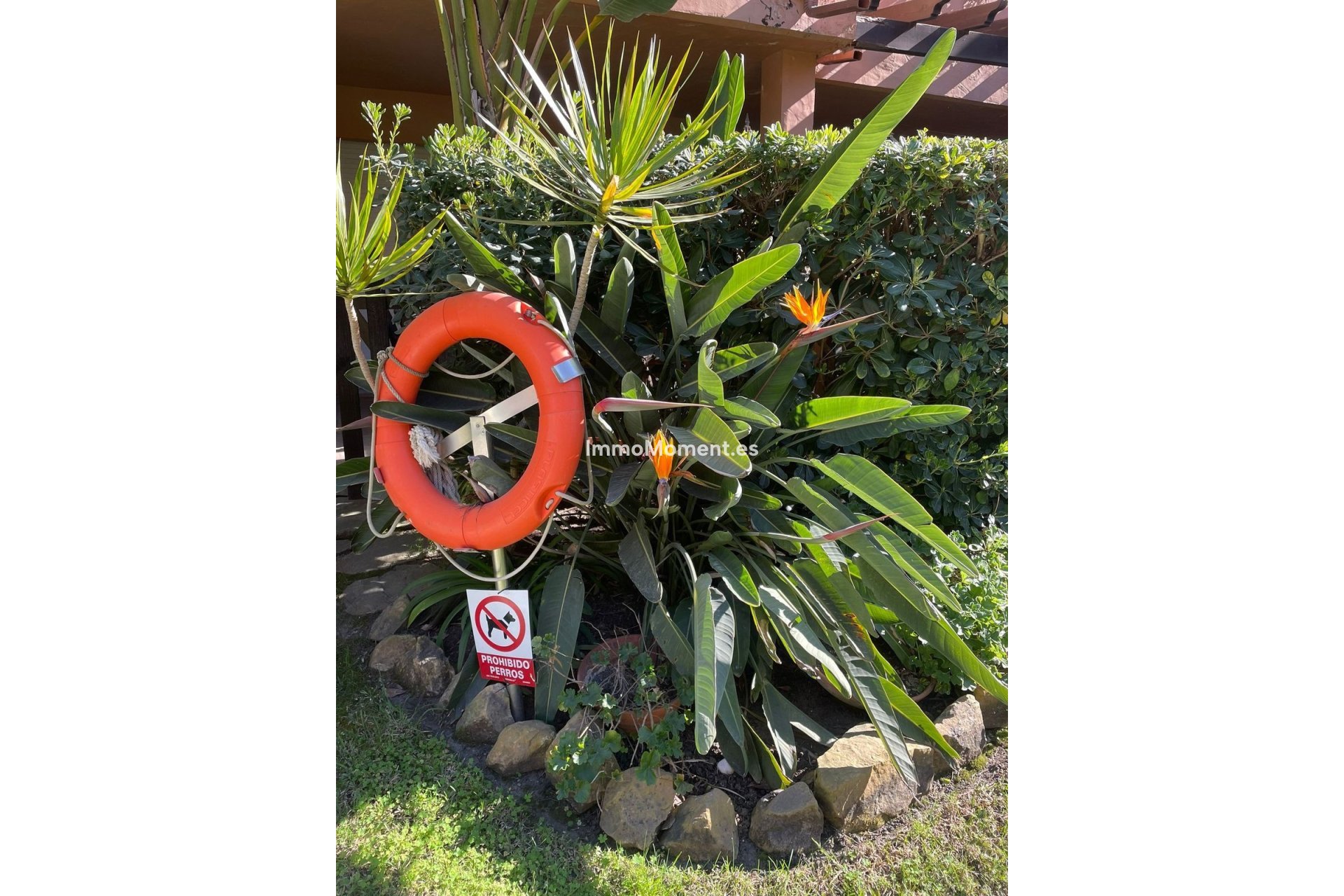 Revente - Appartement - Marbella - The Golden Mile