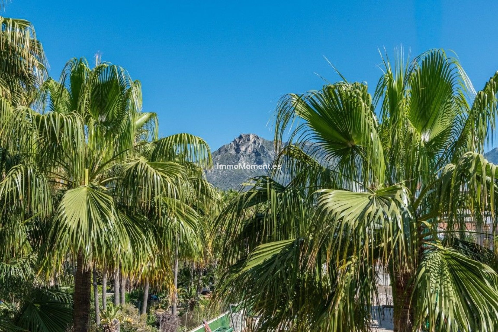 Revente - Appartement - Marbella - The Golden Mile