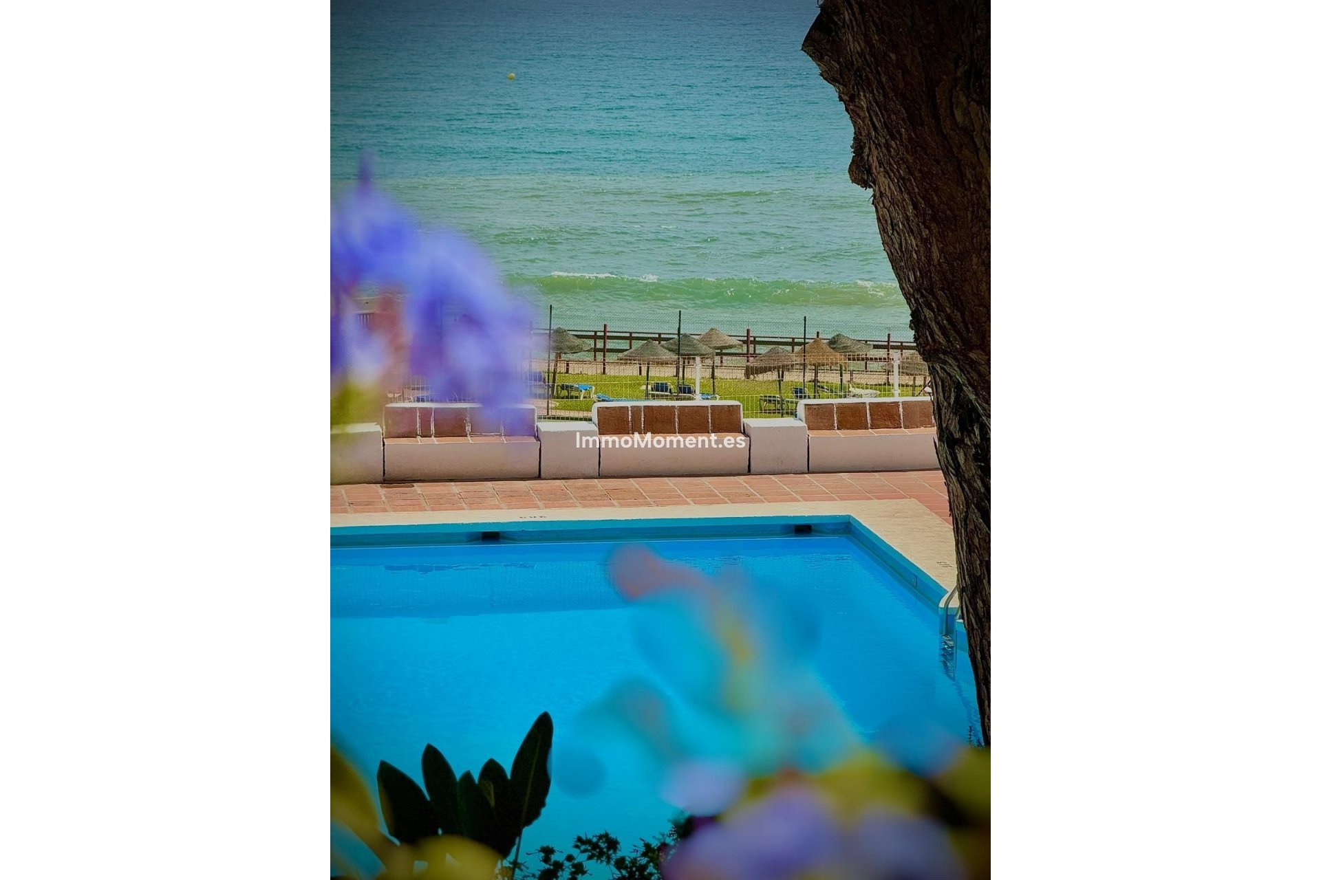 Revente - Appartement - Mijas - Calahonda