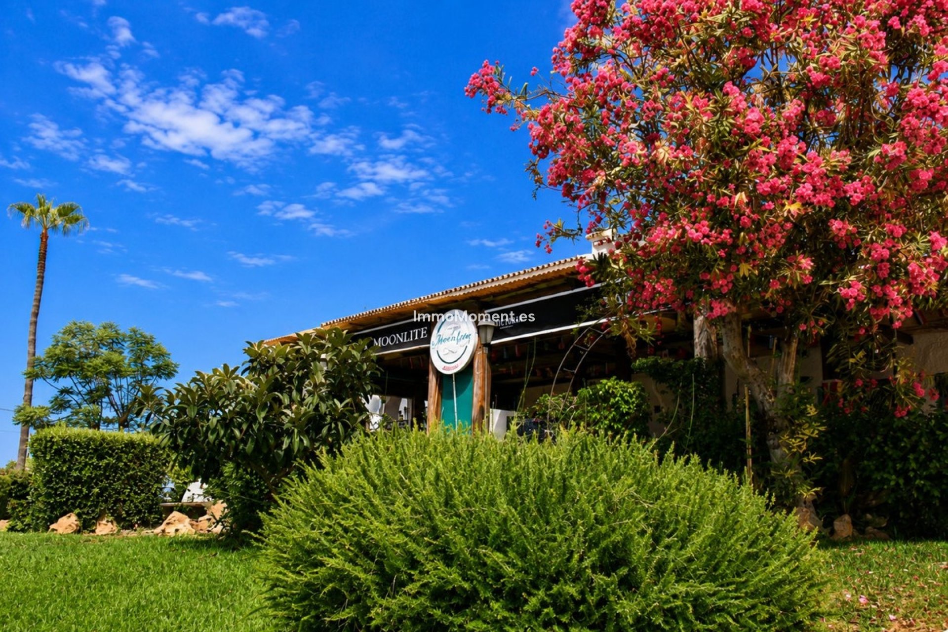Revente - Appartement - Mijas - El Chaparral