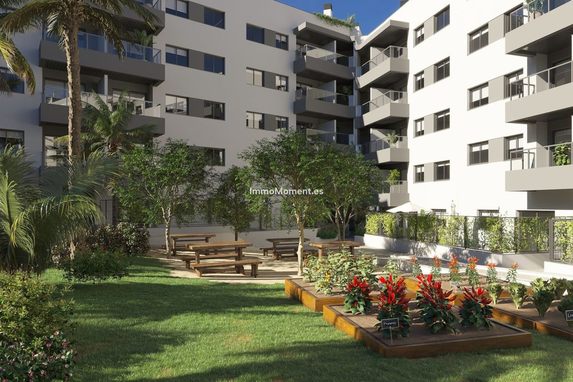 Revente - Appartement - Mijas - Mijas Centro