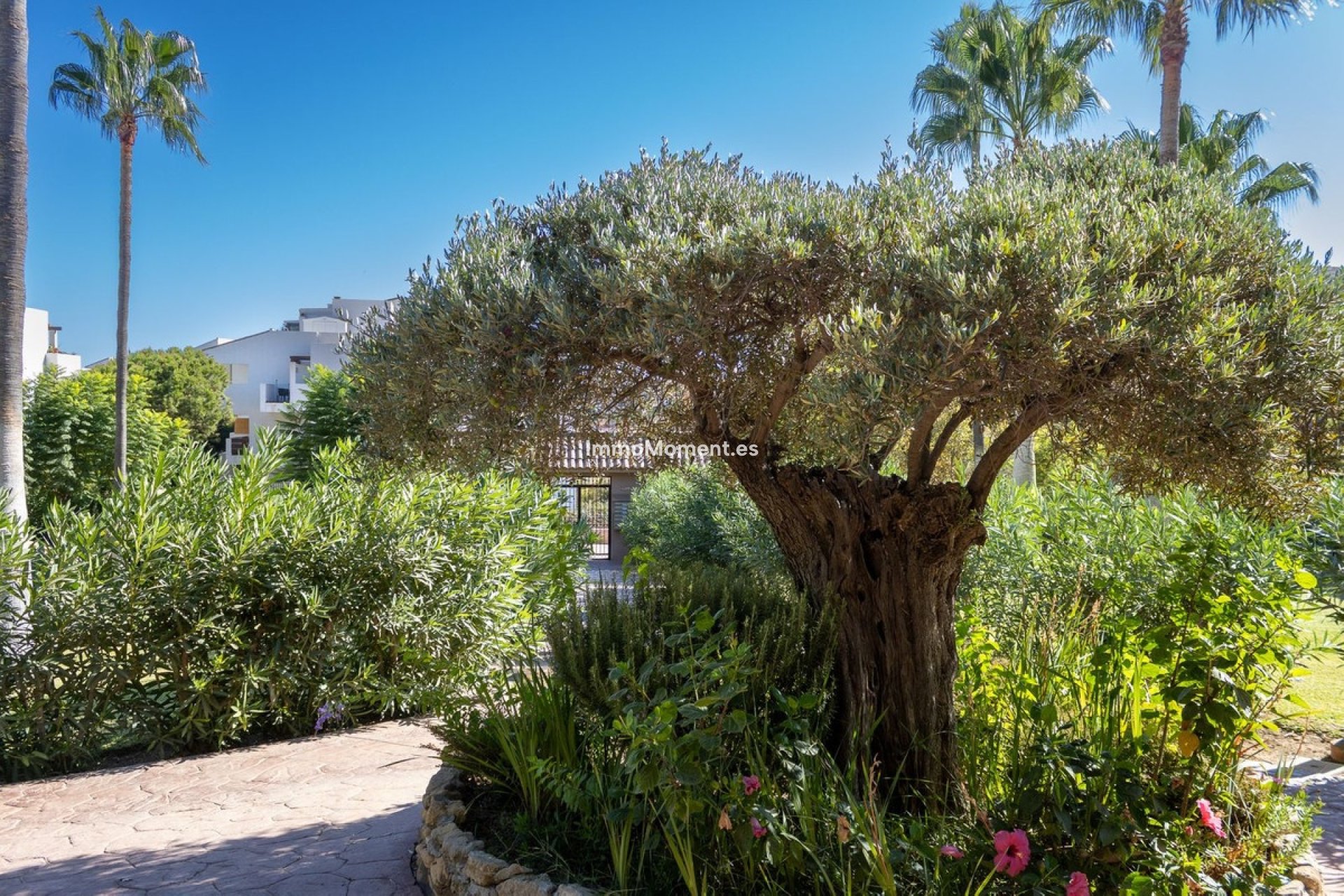 Revente - Appartement - Mijas - Mijas Costa