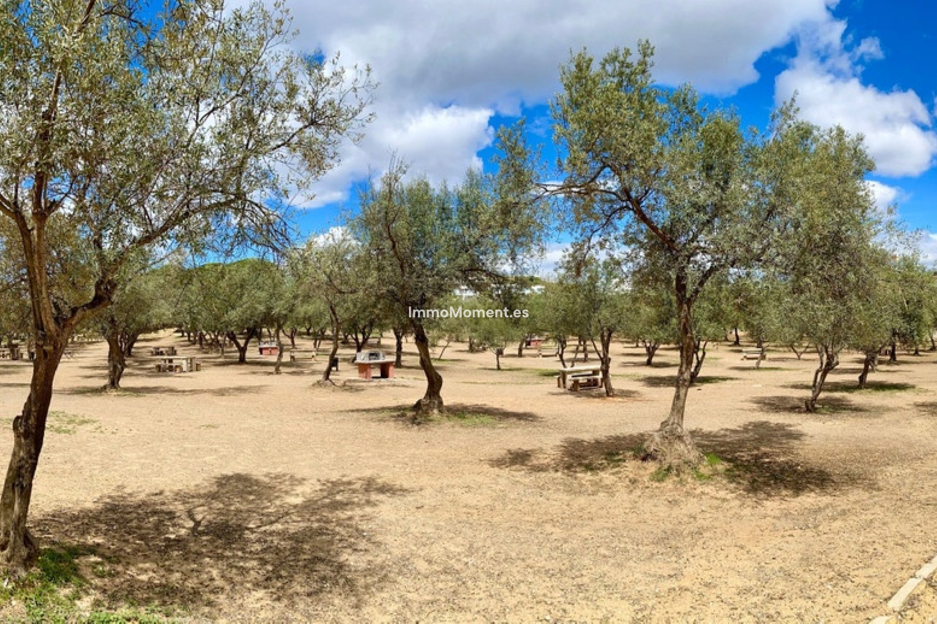 Revente - Appartement - Mijas - Mijas Costa