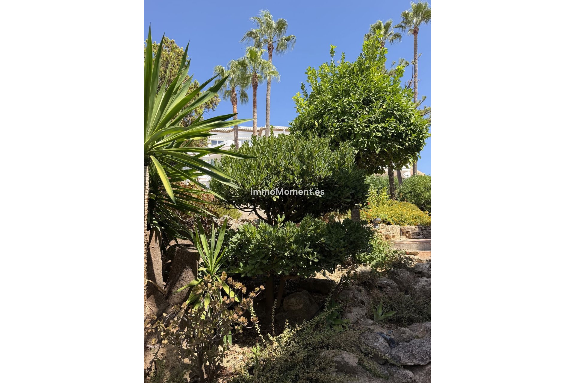Revente - Appartement - Mijas - Mijas Golf