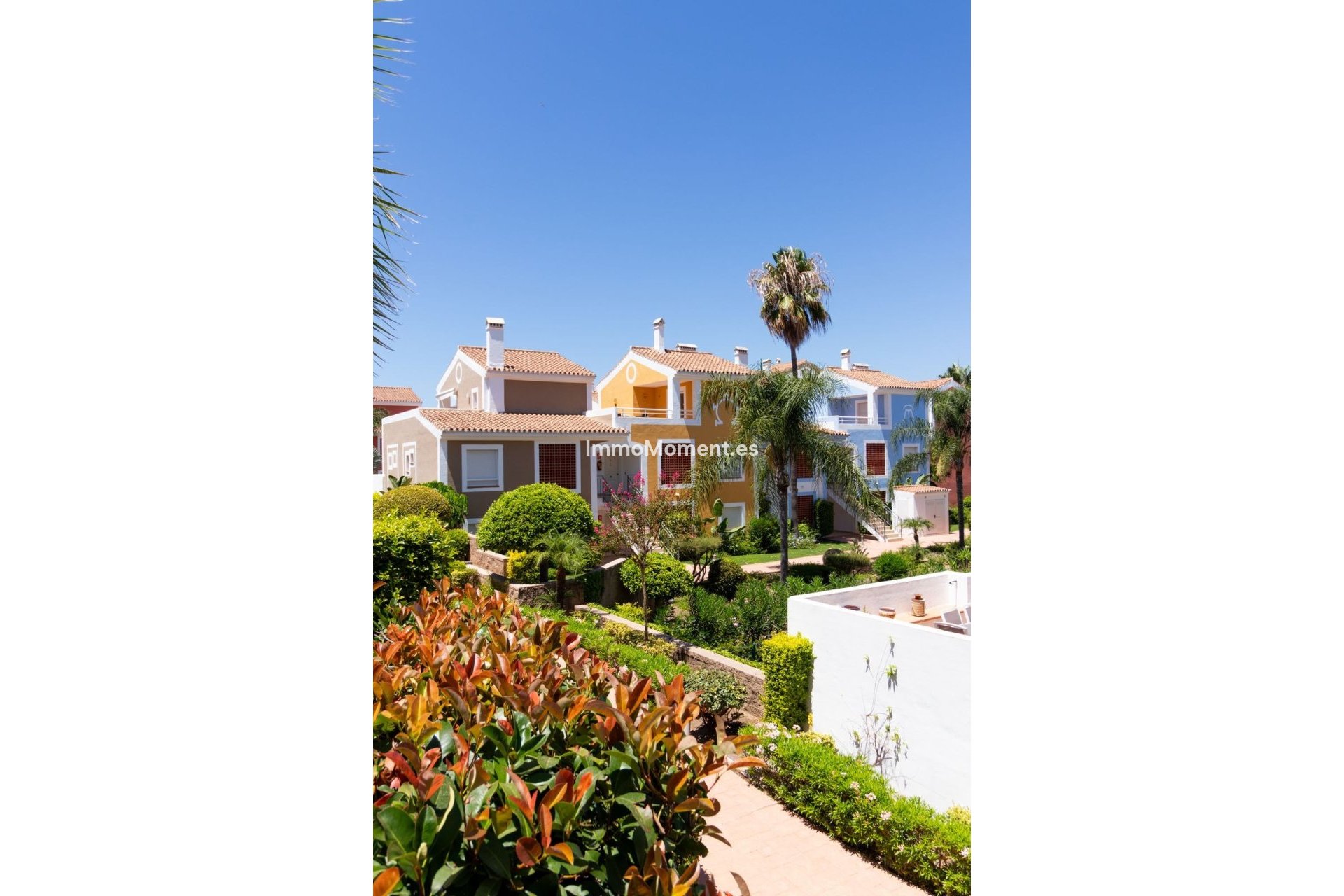 Revente - Appartement - New Golden Mile