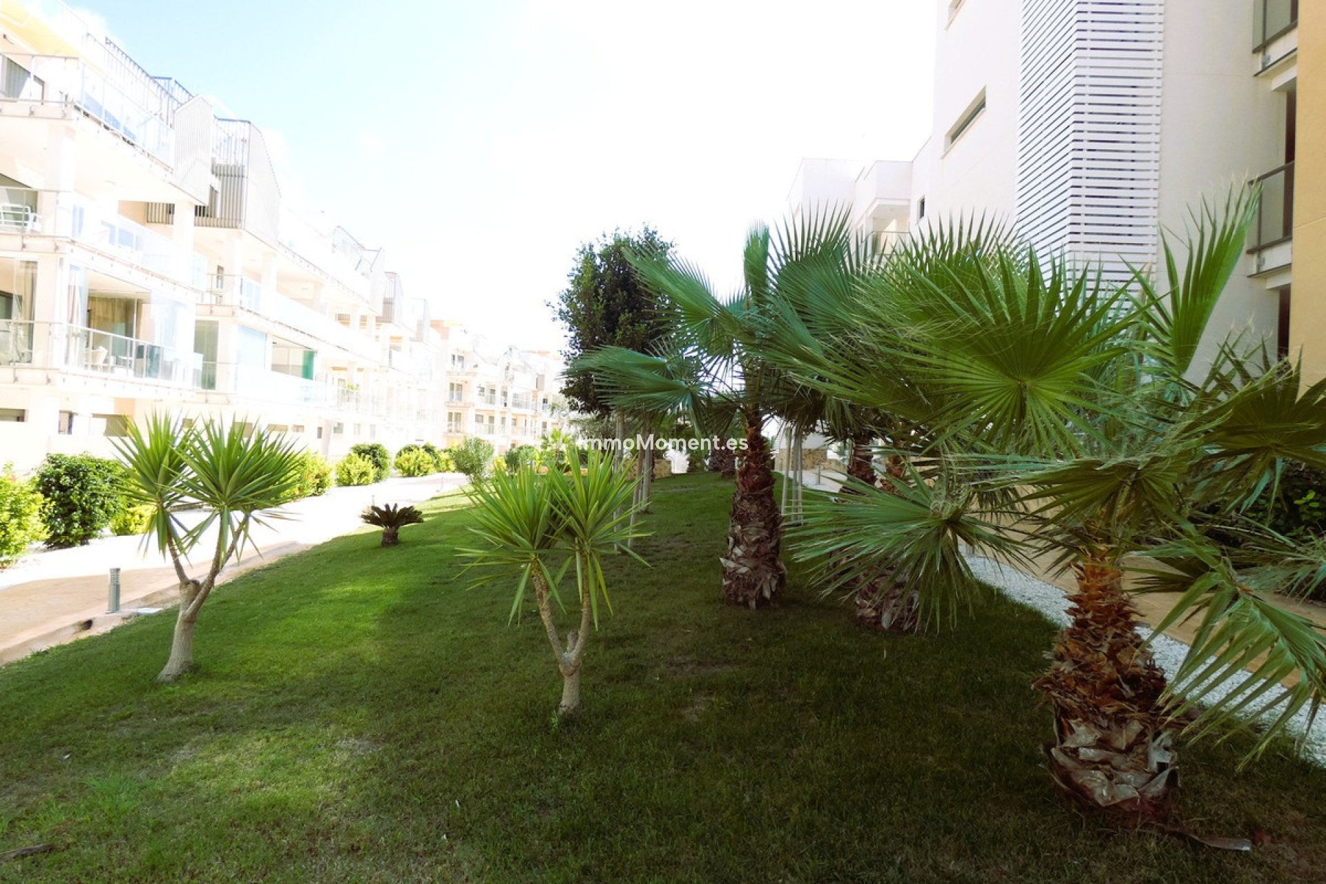Revente - Appartement - Orihuela Costa - Los Dolses