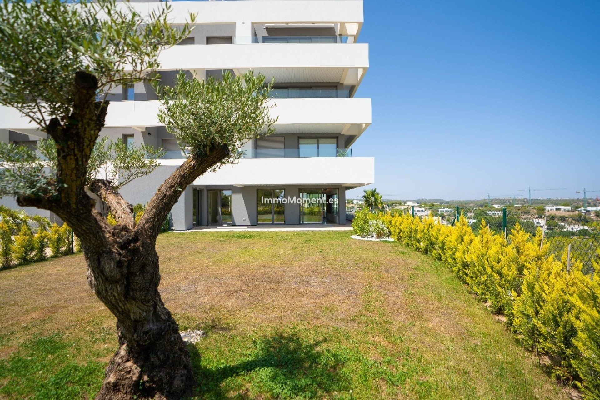 Revente - Appartement - Orihuela - Las Colinas Golf
