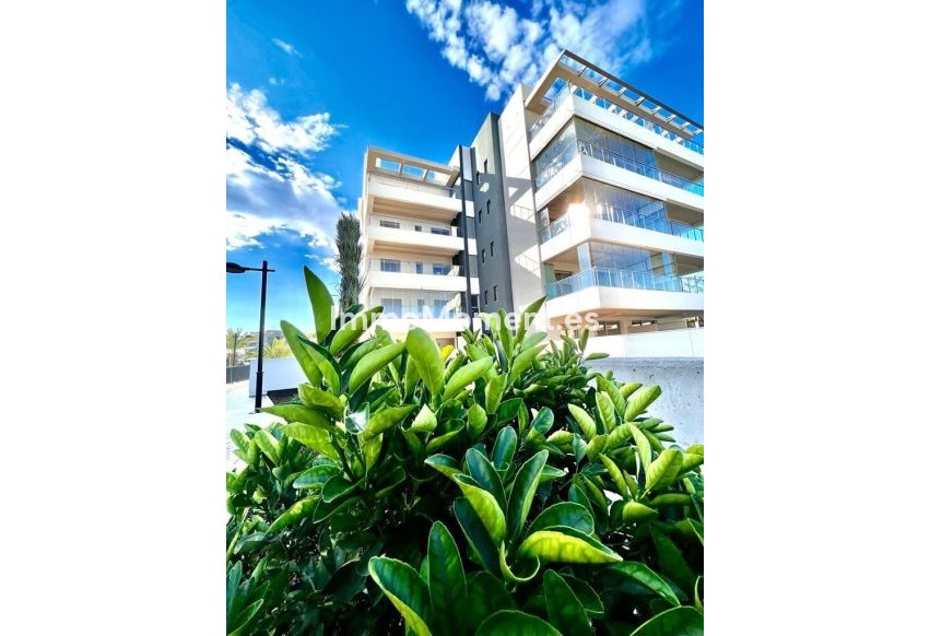 Revente - Appartement - Orihuela - Los Dolses