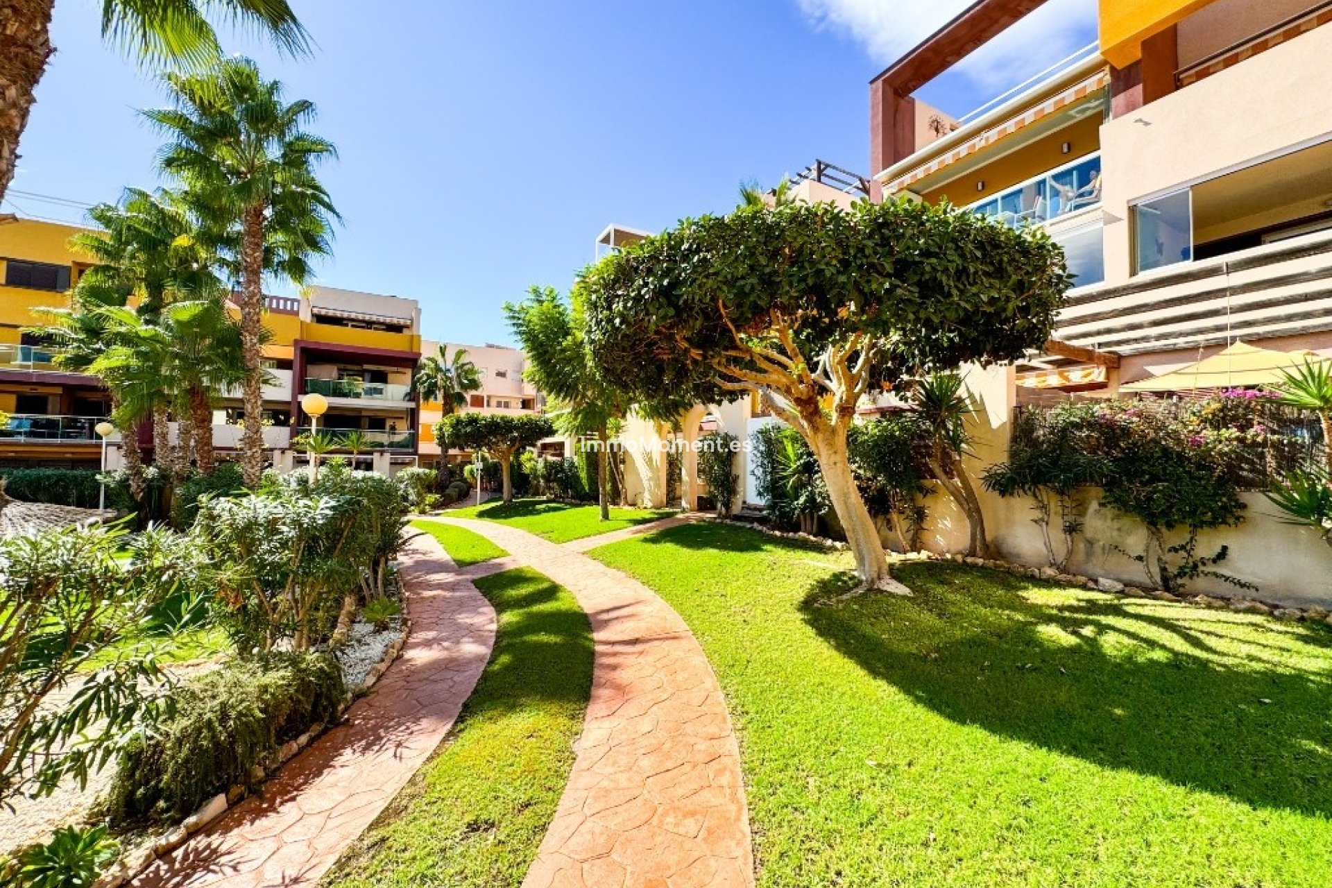 Revente - Appartement - Orihuela - Playa Flamenca