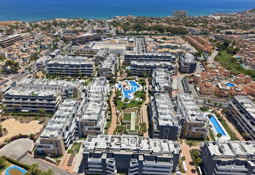 Revente - Appartement - Orihuela - Playa Flamenca