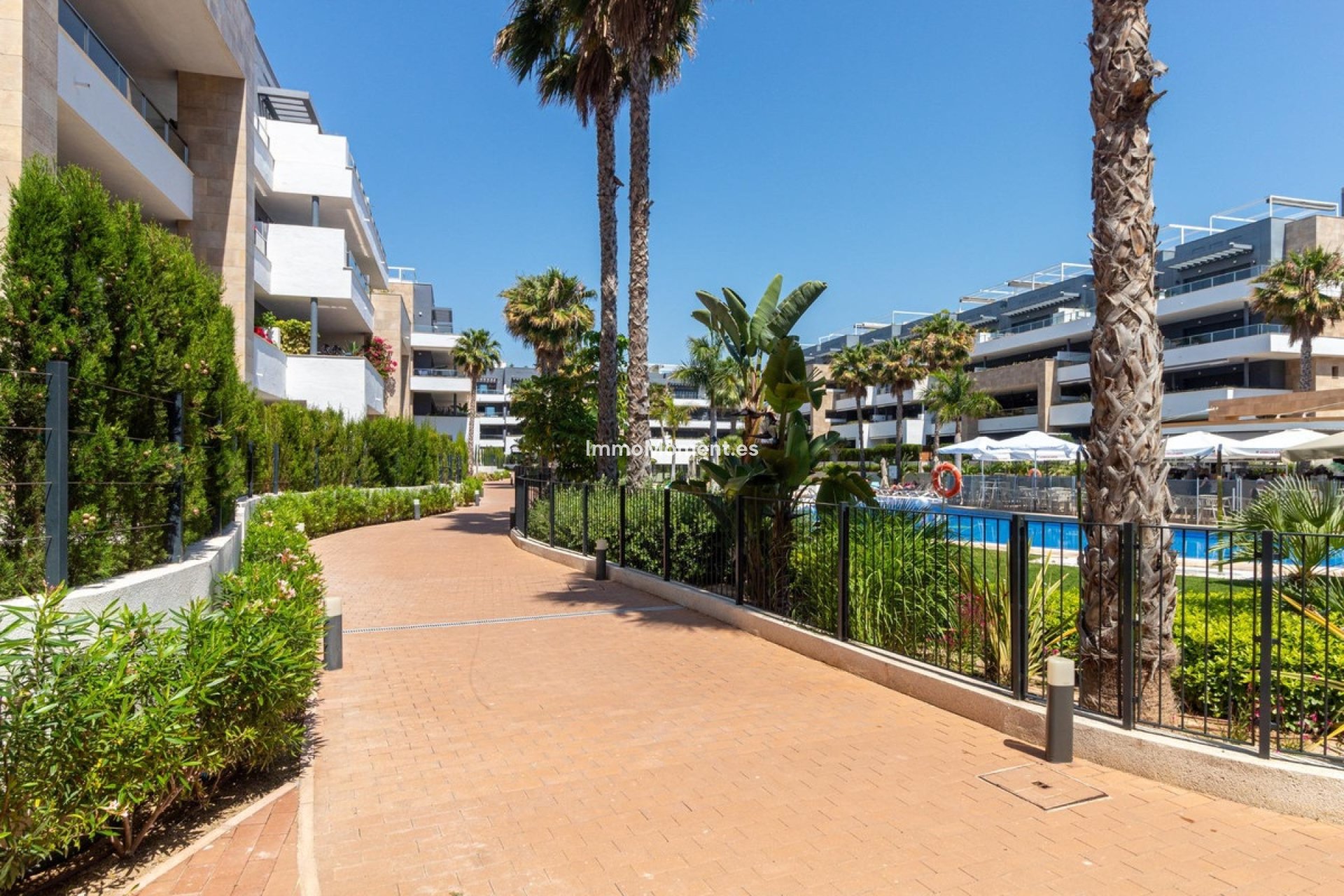 Revente - Appartement - Orihuela - Playa Flamenca