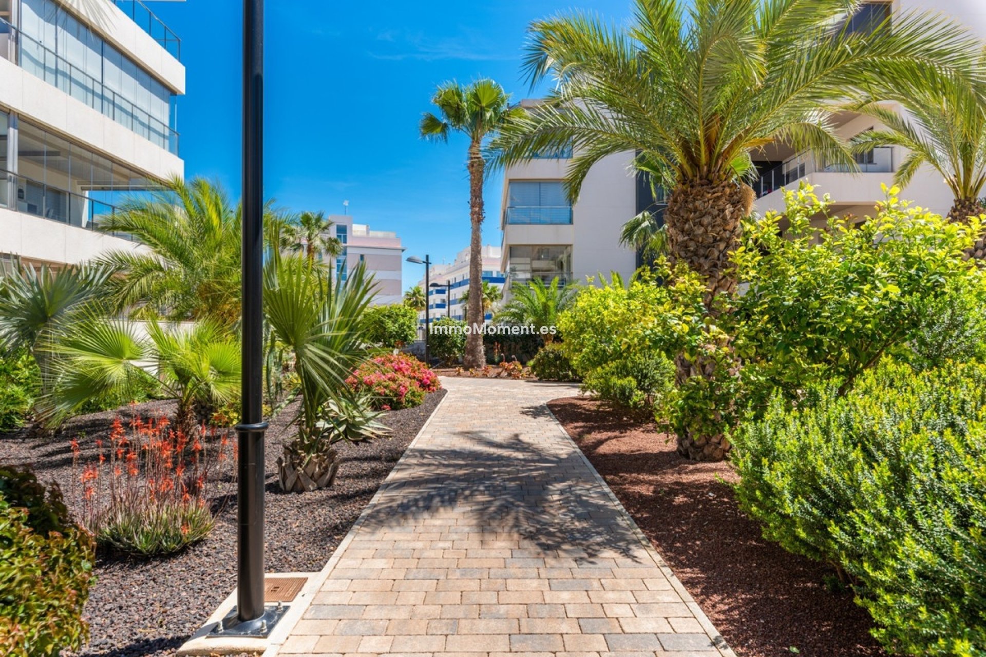 Revente - Appartement - Orihuela - Villamartín