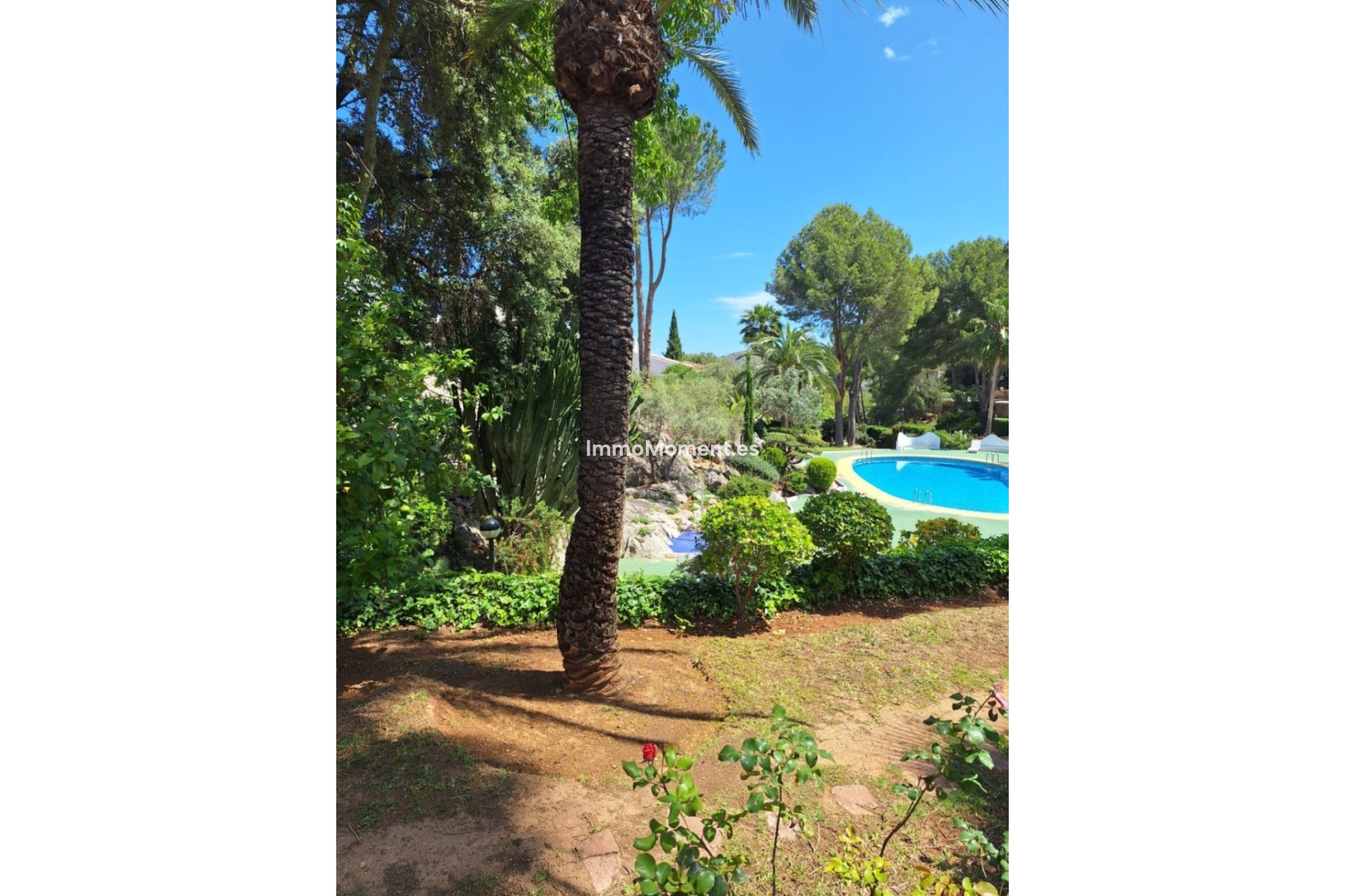Revente - Appartement - Pedreguer - Pedreguer Centro