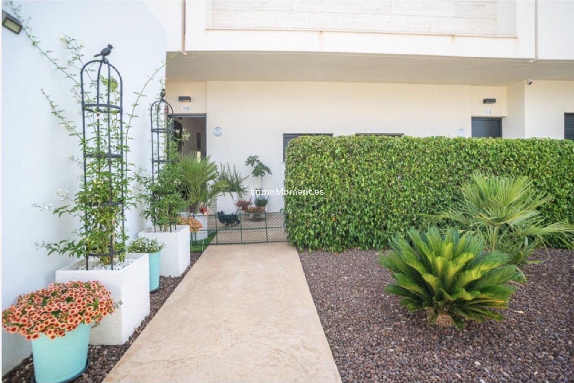 Revente - Appartement - Pilar de la Horadada - Pilar de la Horadada Centro