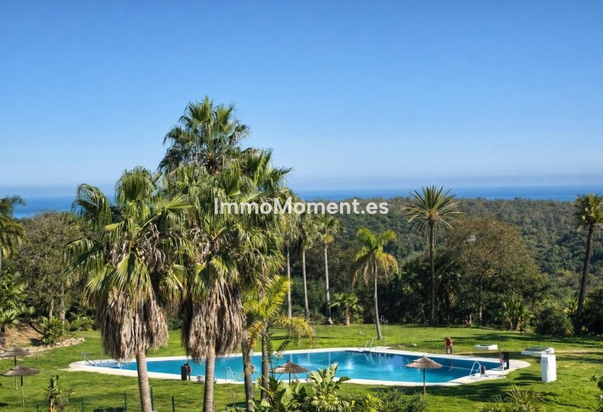Revente - Appartement - Sotogrande - San Roque Club
