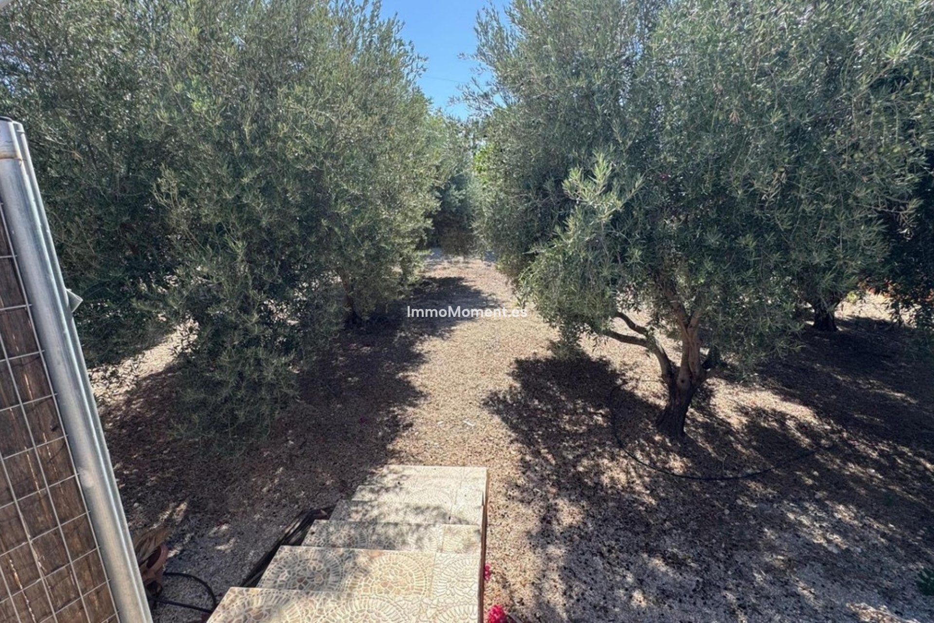 Revente - Maison de campagne - Albatera - Albatera Centro