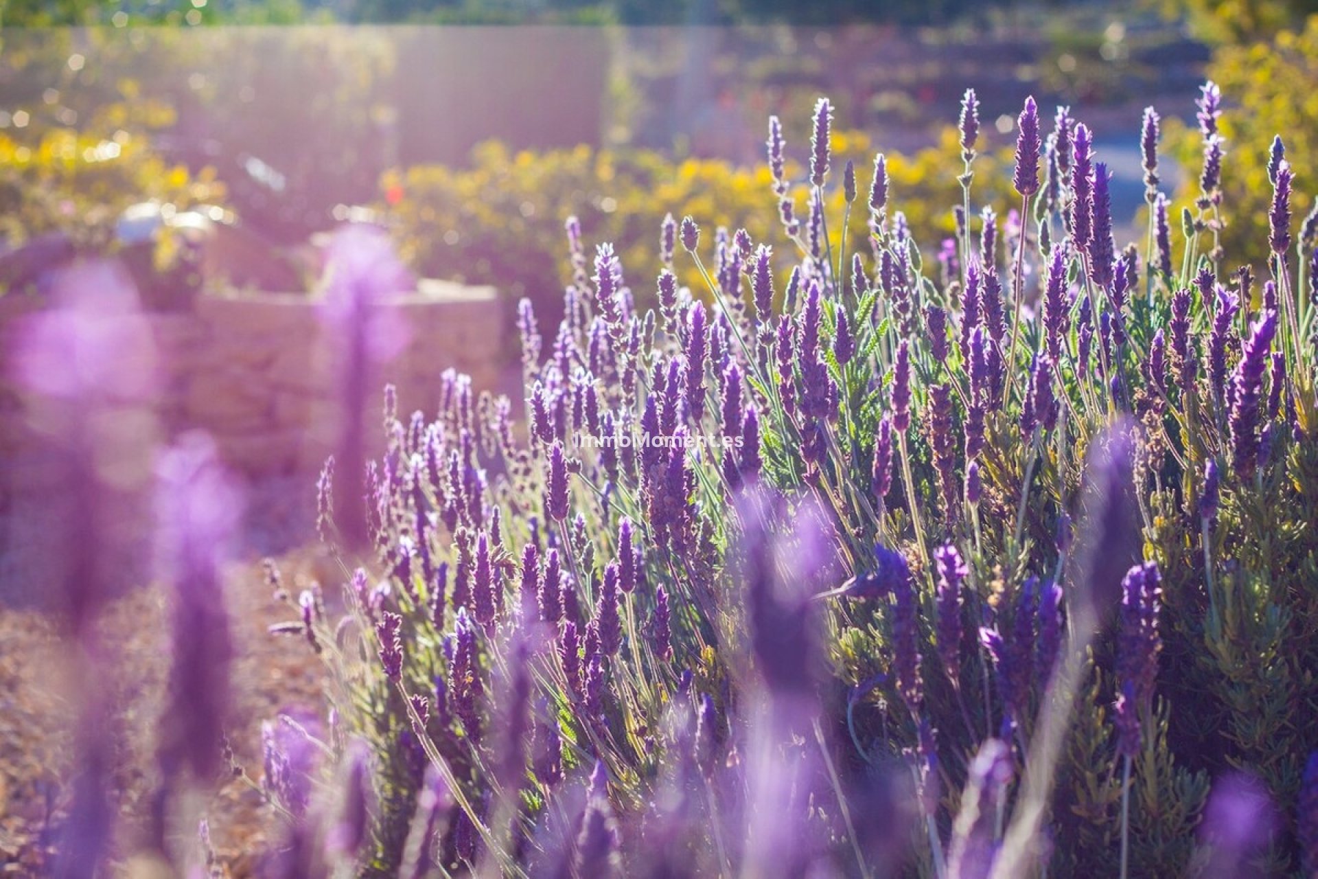 Revente - Maison de campagne - Benissa - Benissa Centro