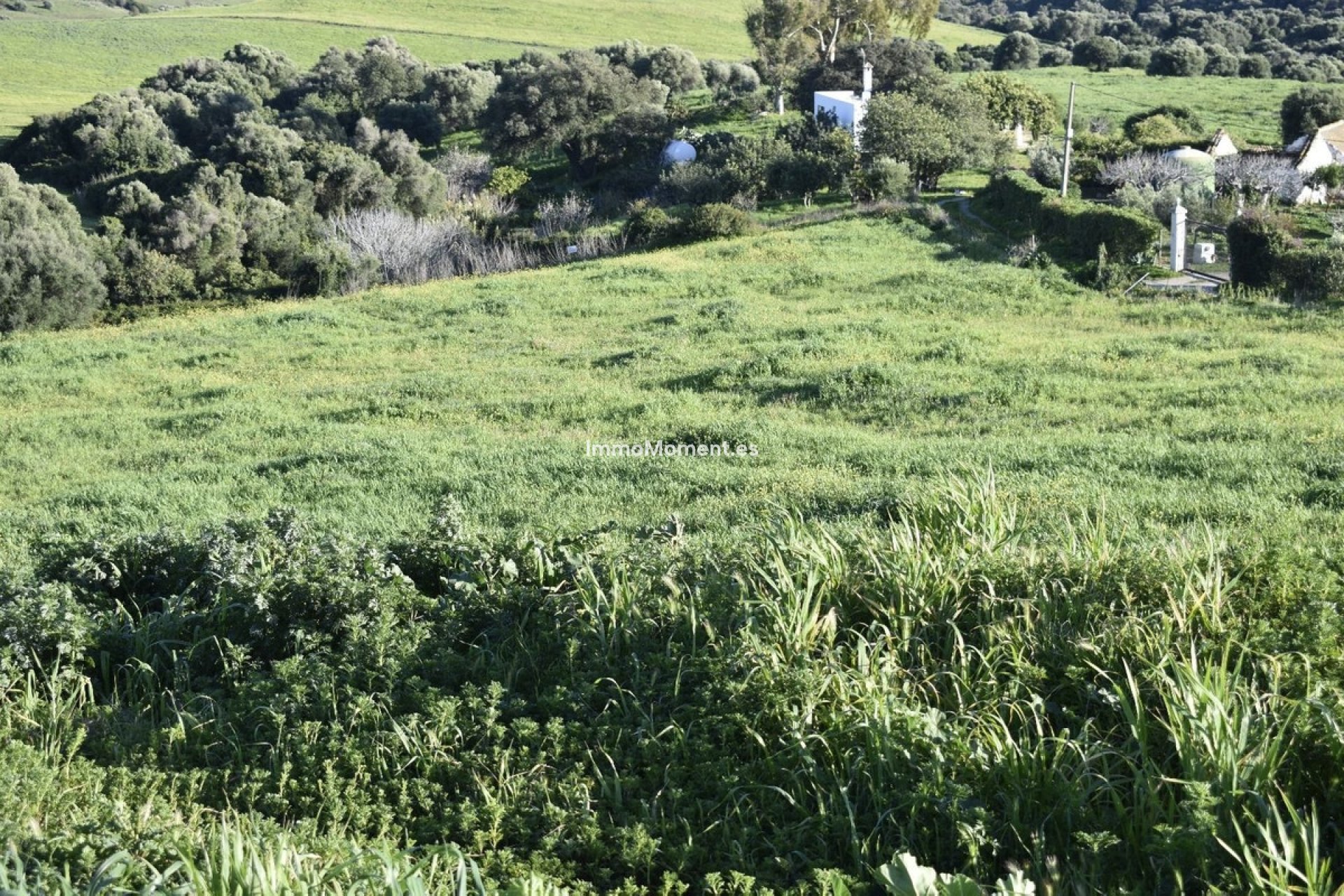 Revente - Maison de campagne - Casares - Casares Centro