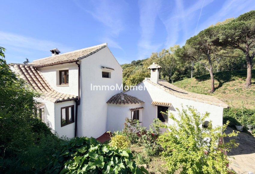Revente - Maison de campagne - Casares - Casares Centro