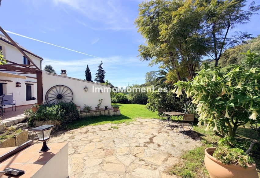 Revente - Maison de campagne - Casares - Casares Centro