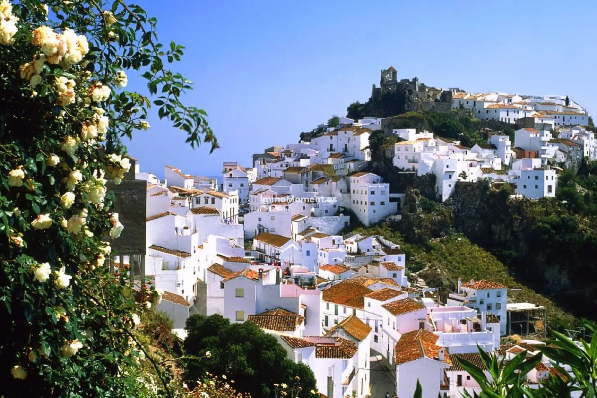Revente - Maison de campagne - Casares - Casares Centro