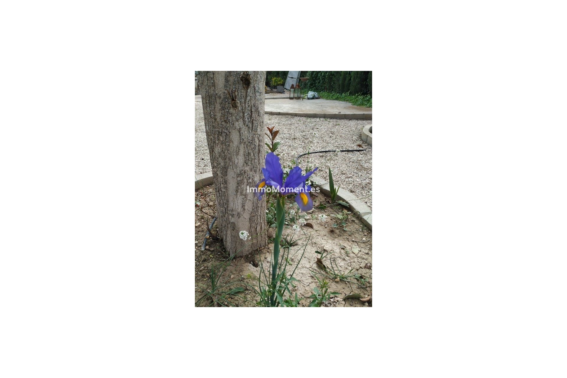 Revente - Maison de campagne - Crevillente - Crevillente - Crevillent Centro