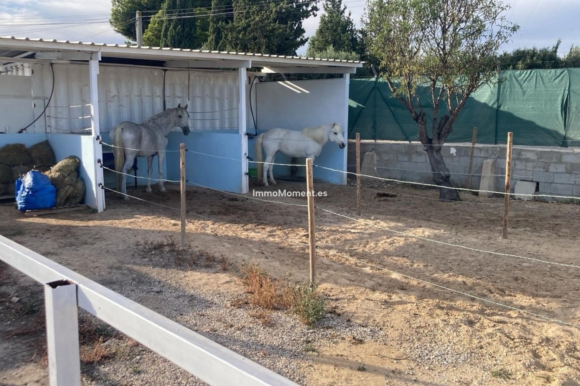 Revente - Maison de campagne - Crevillente - Crevillente - Crevillent Centro