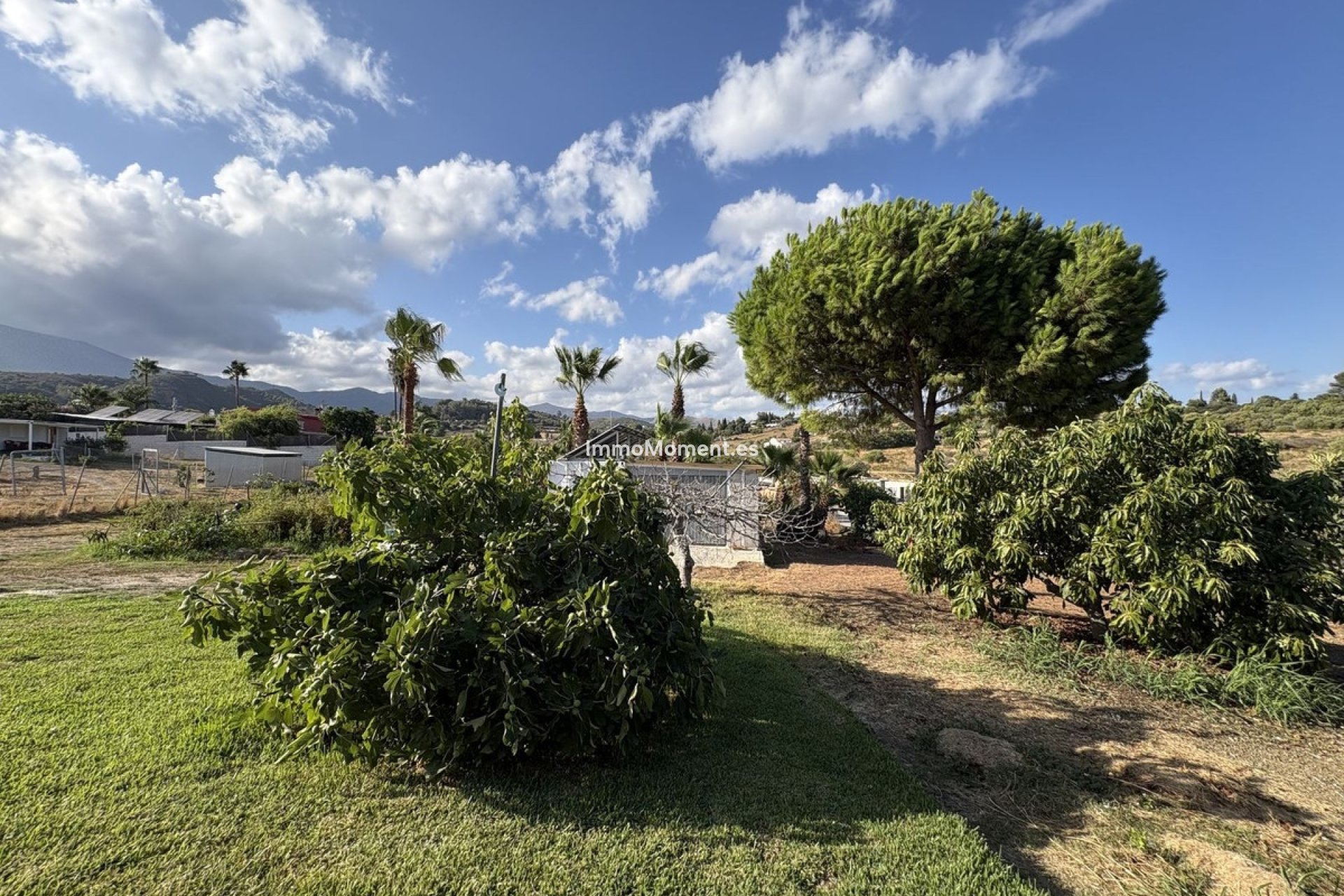 Revente - Maison de campagne - Estepona  - El Padron