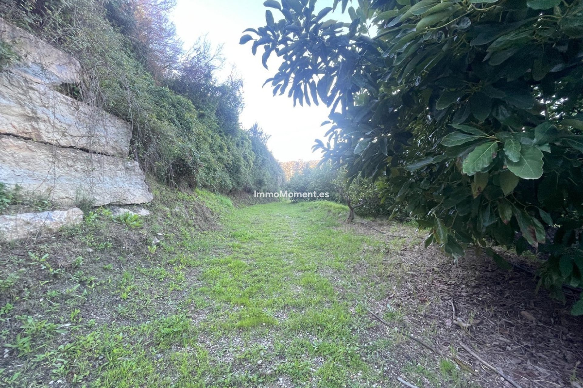 Revente - Maison de campagne - Estepona  - Estepona Centro