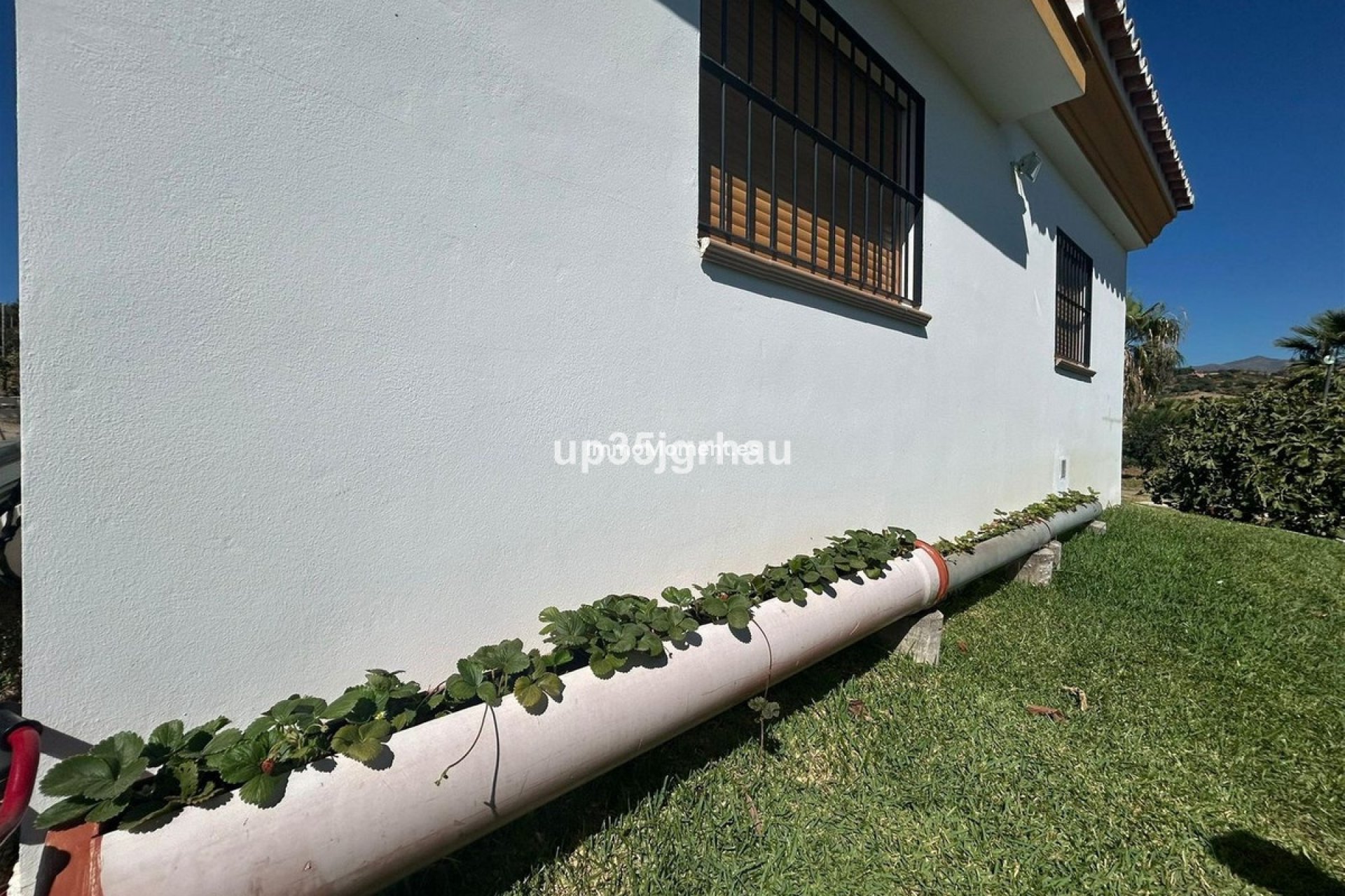 Revente - Maison de campagne - Estepona  - Estepona Centro