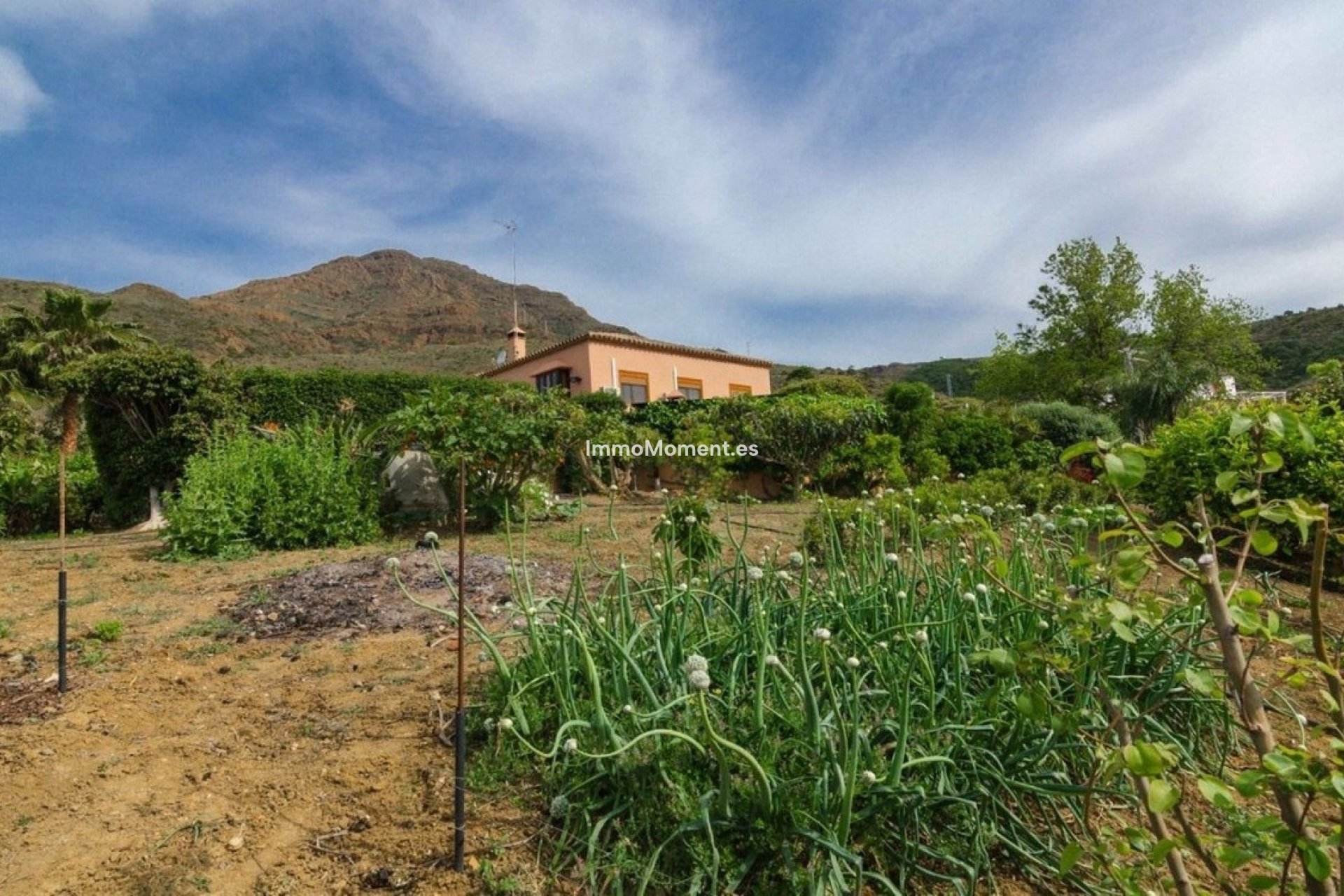 Revente - Maison de campagne - Estepona  - Estepona Centro