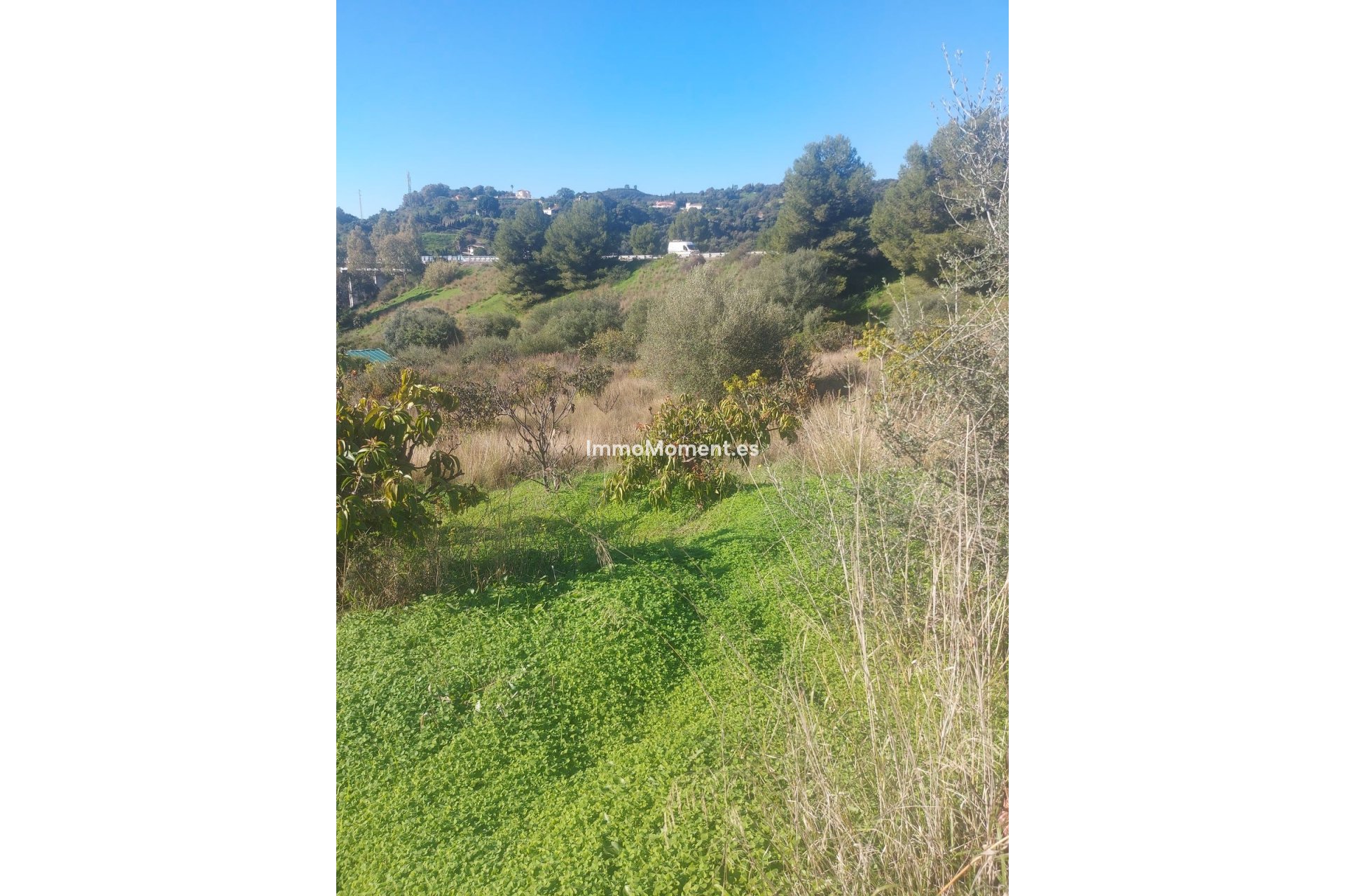 Revente - Maison de campagne - Estepona  - Estepona Centro