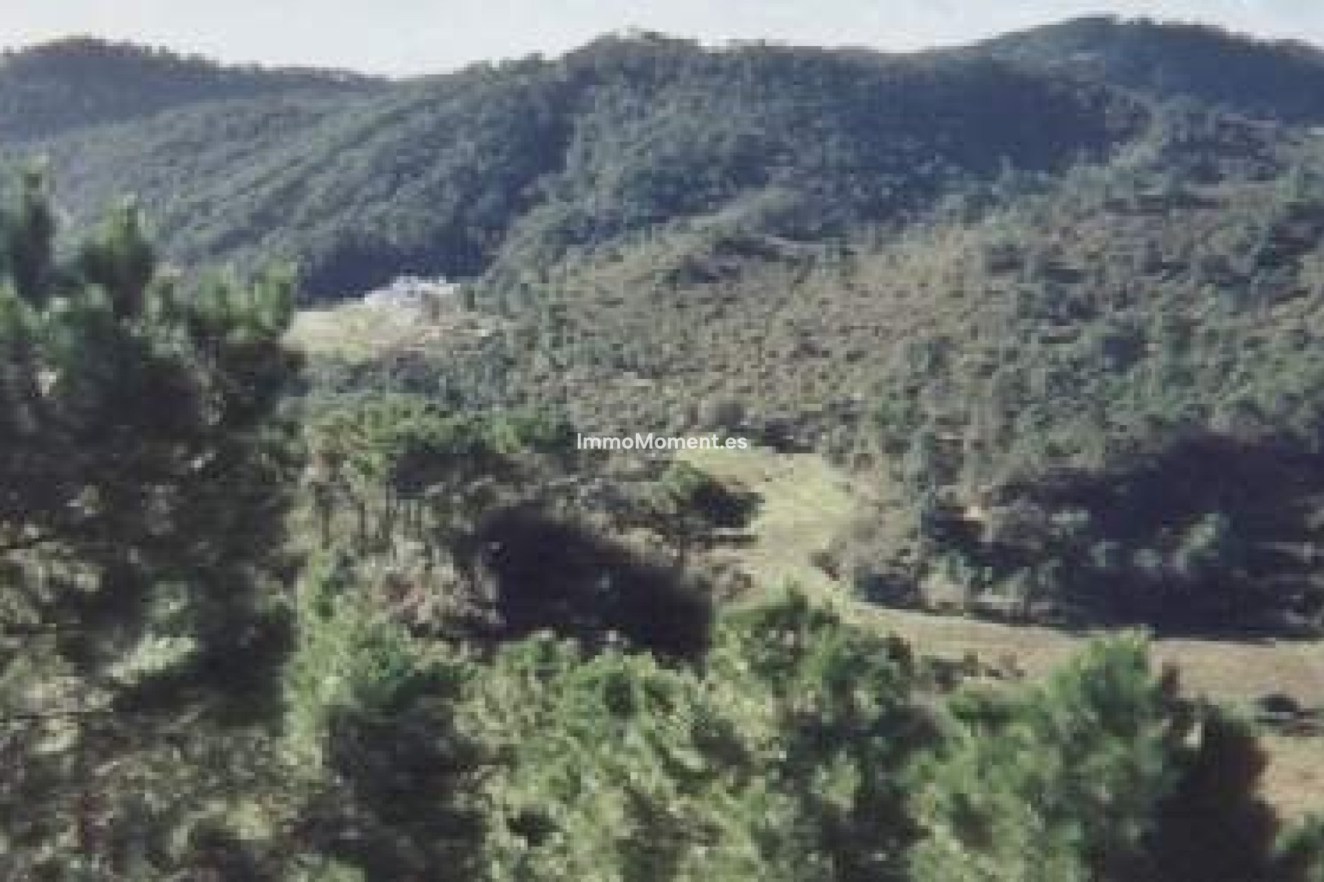 Revente - Maison de campagne - Estepona  - Estepona Centro