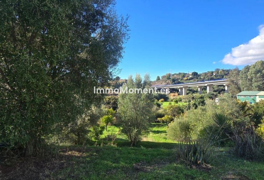 Revente - Maison de campagne - Estepona  - Estepona Centro