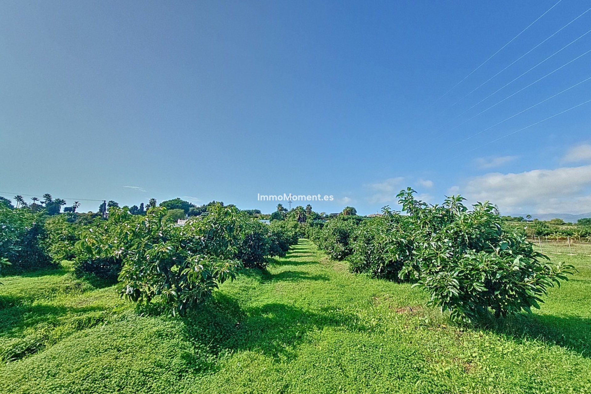 Revente - Maison de campagne - Estepona  - New Golden Mile