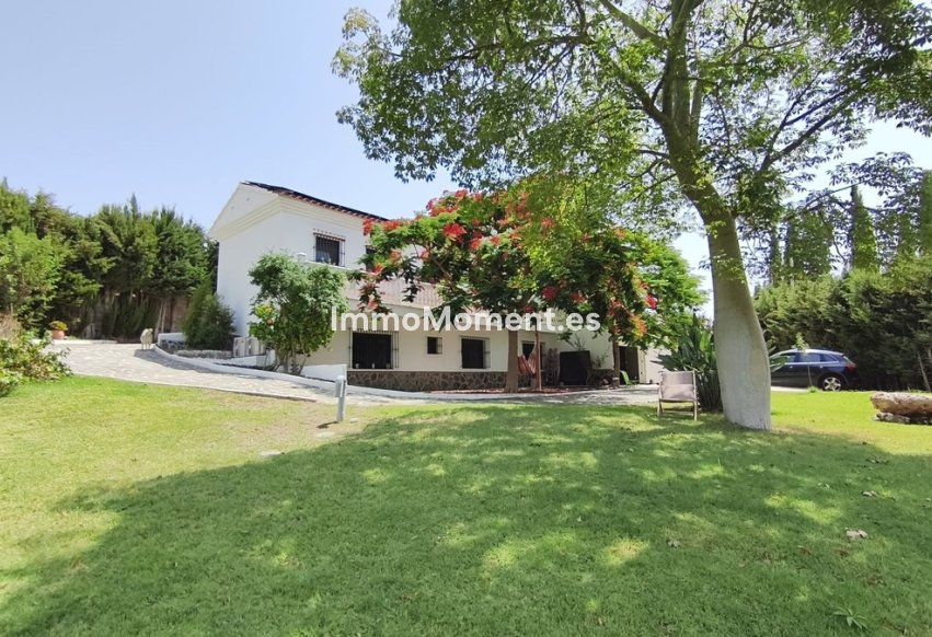 Revente - Maison de campagne - Intérieur                       - Alhaurín de la Torre